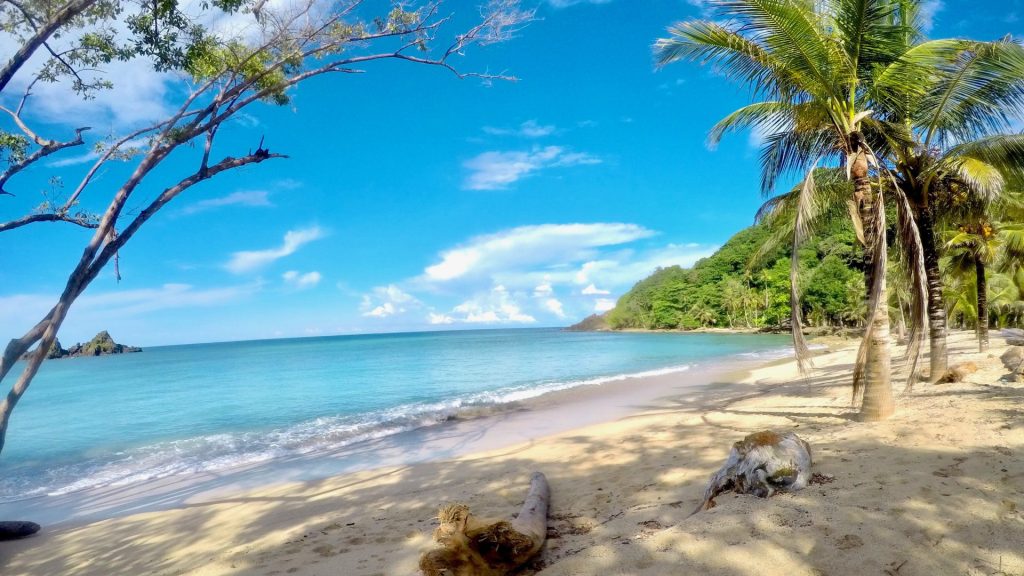 banner-terra-colombia-2020-05-14-043915